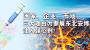 国家、企业、市场，三大理由为参展东北安博会注入强心剂！