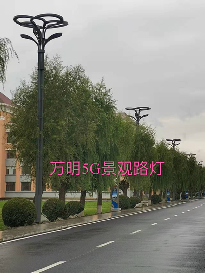 微信图片_20250303145547.jpg