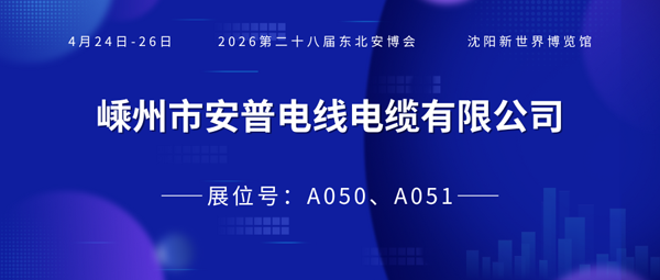 1770010478905784.png 安普300.png